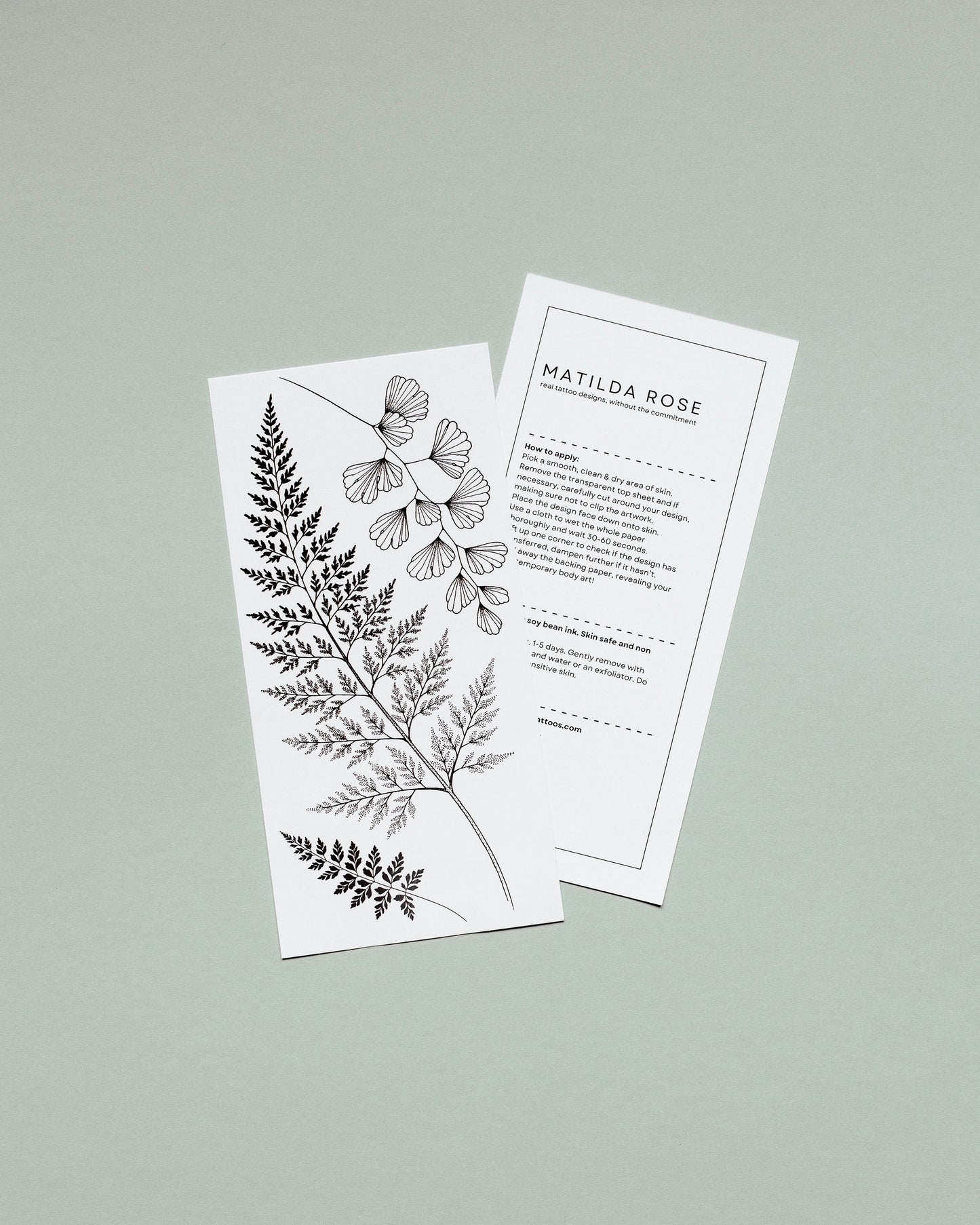 Ferns