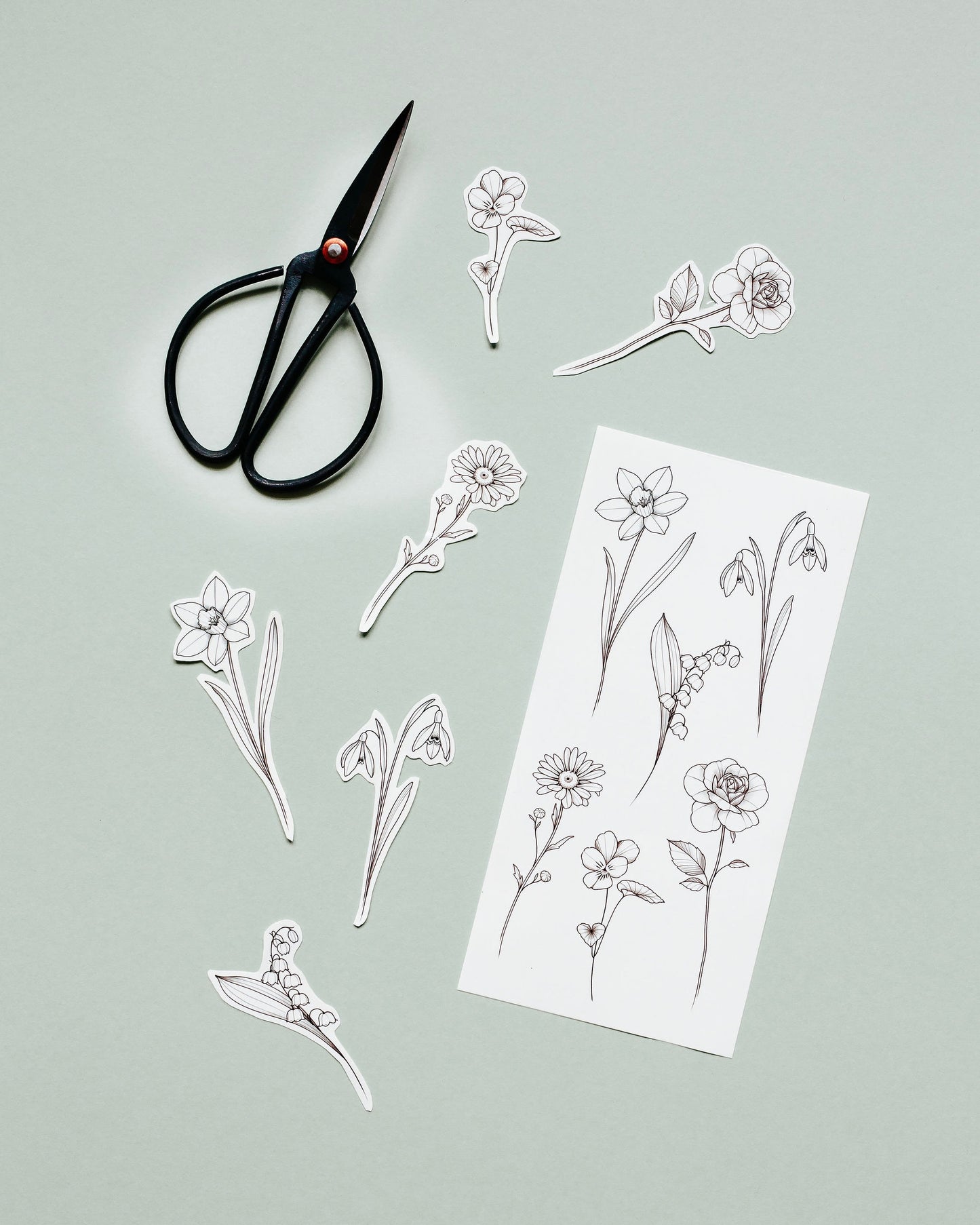 Birth Flowers (Jan-June)