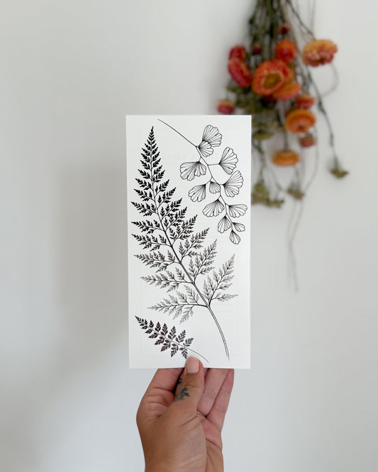 Ferns