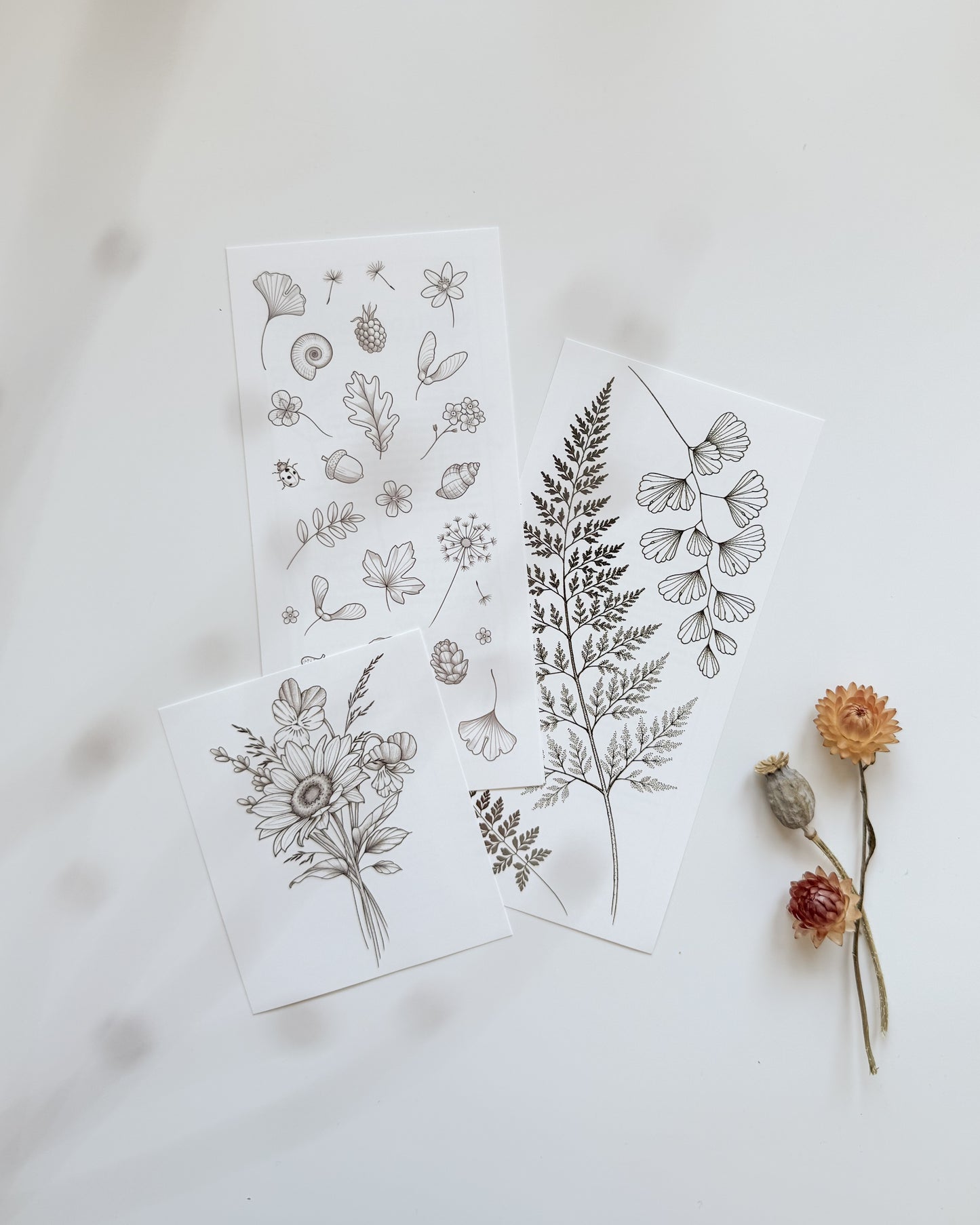 The Discovery Bundle