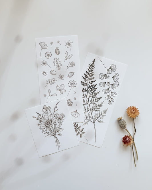 The Discovery Bundle